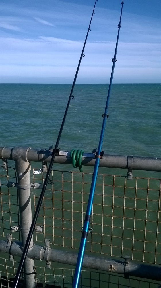 Rod advice: Which rod for pier fishing/beach/boat