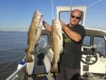 Fish Fishing Cod Recreation Recreational fishing