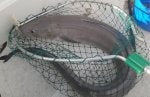 Fishing net Net Fishing Turtle Sea turtle